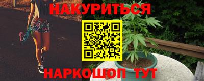 крисы Краснознаменск