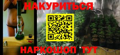 крисы Краснознаменск
