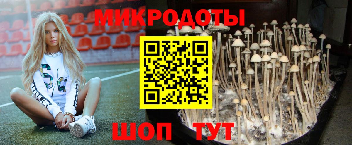 Псилоцибиновые грибы Cubensis  Вход с VPN  Котовск 
